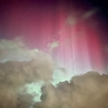 IMG_3529.jpeg