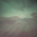 IMG_3975.jpeg