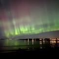 IMG_7831.jpeg