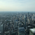 IMG_4460.jpeg