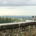 IMG_1412 2.jpeg
