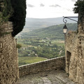 IMG_1444.jpeg
