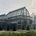 IMG_3220.jpeg