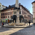 IMG_8030.jpeg