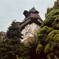 IMG_1204.jpeg