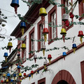 IMG_6342.jpeg