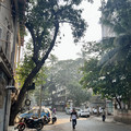 IMG_6590.jpeg