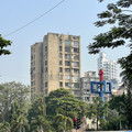 IMG_6638.jpeg