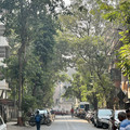 IMG_6659.jpeg