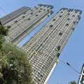 IMG_6675.jpeg