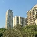 IMG_6692.jpeg