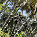 IMG_6944.jpeg