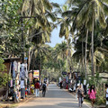 IMG_7145.jpeg