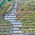 IMG_7246.jpeg