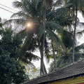 IMG_7277.jpeg