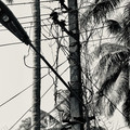 IMG_7422.jpeg