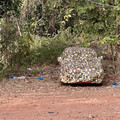 IMG_7425.jpeg