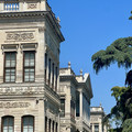 IMG_0701.jpeg