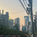 IMG_7207.jpeg
