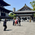 IMG_7245.jpeg