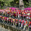IMG_7263.jpeg
