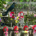 IMG_7273.jpeg