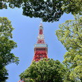 IMG_7285.jpeg