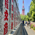 IMG_7307.jpeg