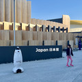 IMG_7950.jpeg