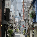 IMG_8416.jpeg