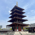 IMG_8434.jpeg