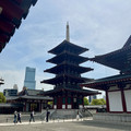 IMG_8440.jpeg
