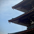 IMG_8443.jpeg