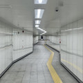 IMG_8557.jpeg