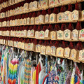 IMG_8725.jpeg