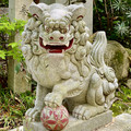 IMG_8782.jpeg