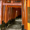 IMG_8850.jpeg