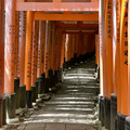IMG_8852.jpeg