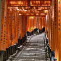 IMG_8869.jpeg