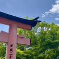 IMG_8876.jpeg