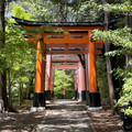 IMG_8890.jpeg