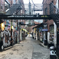 IMG_3784.jpeg