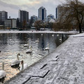 IMG_6268 (1).jpeg