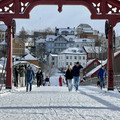 IMG_8003.jpeg
