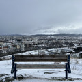 IMG_8025.jpeg