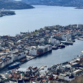 IMG_8936.jpeg