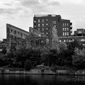 IMG_3341.jpeg