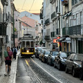 IMG_2055.jpeg