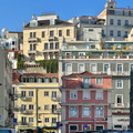 IMG_2647.jpeg