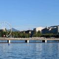IMG_6111.jpeg